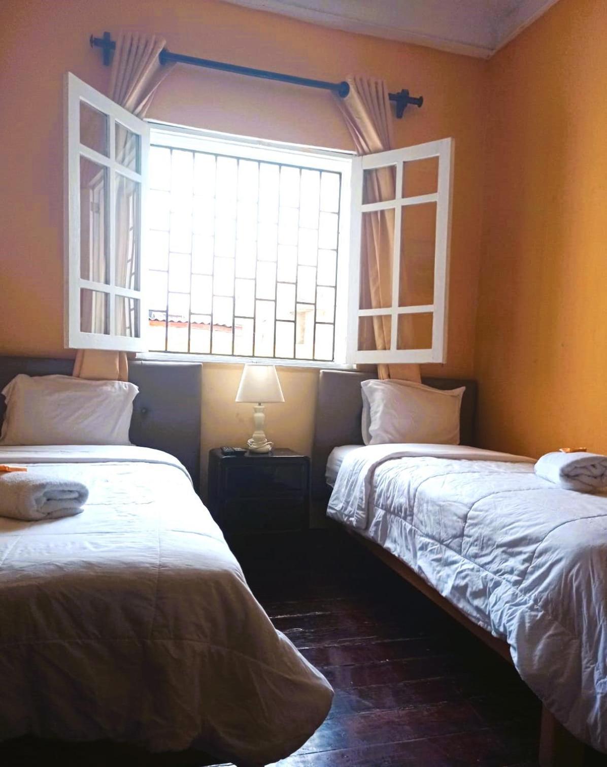 Lion Backpackers Guest house